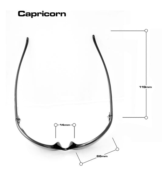 Capricorn F216N