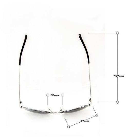 Sydney F933 sunglasses