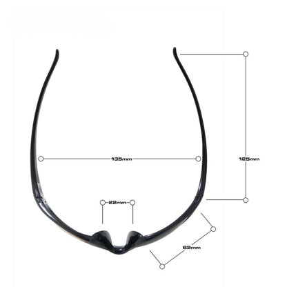 Stingray Polarised P120 Sunglasses